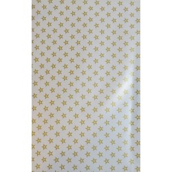 Saco 10X15cm - C/ 100 Un